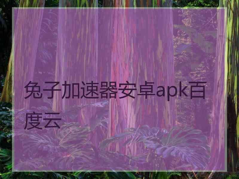 兔子加速器安卓apk百度云