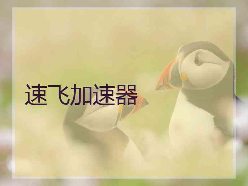 速飞加速器