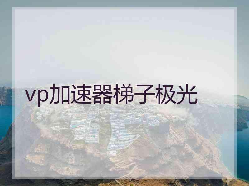 vp加速器梯子极光
