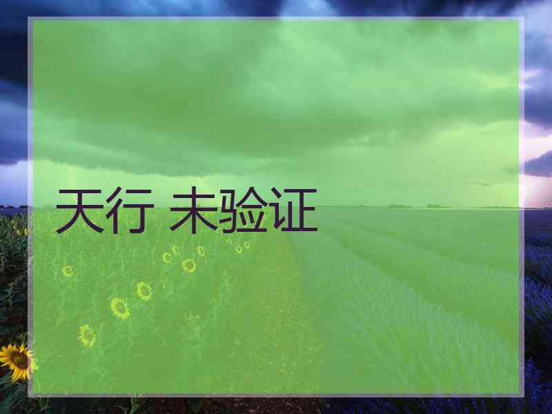 天行 未验证