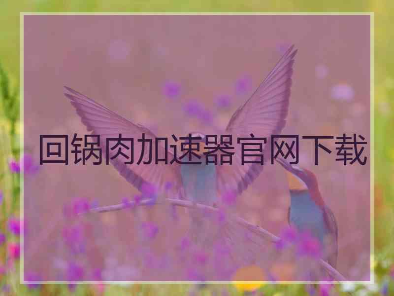 回锅肉加速器官网下载