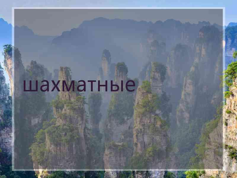шахматные