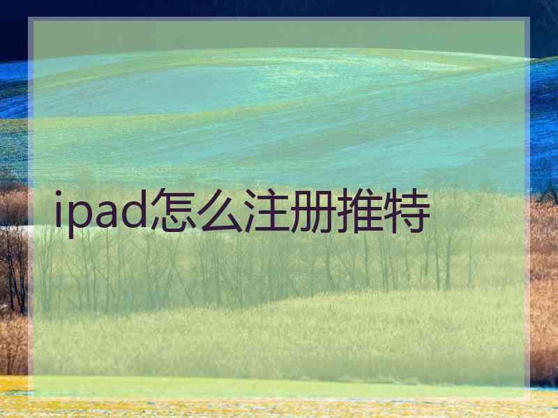 ipad怎么注册推特