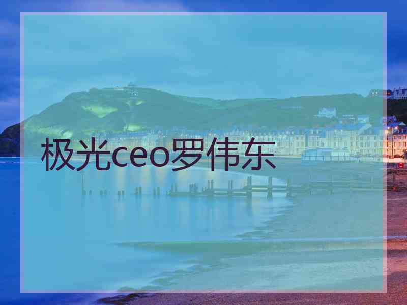 极光ceo罗伟东