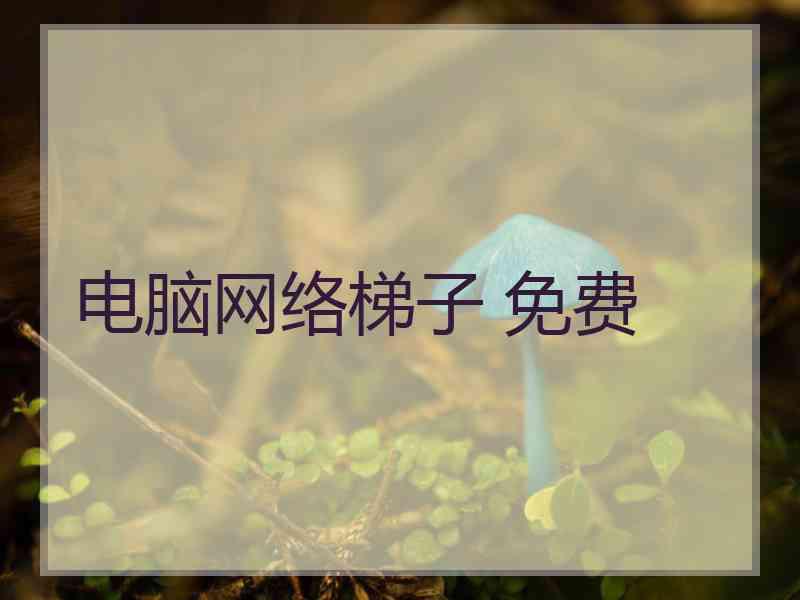电脑网络梯子 免费