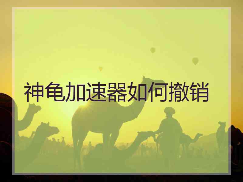 神龟加速器如何撤销