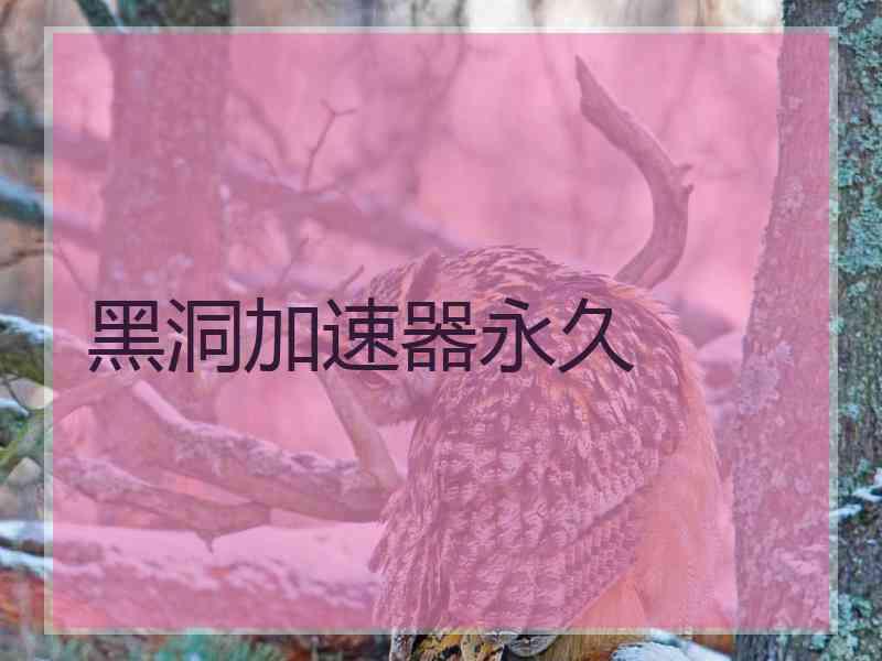 黑洞加速器永久