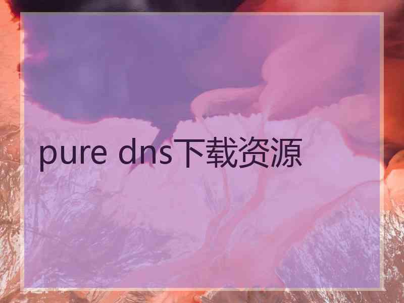 pure dns下载资源