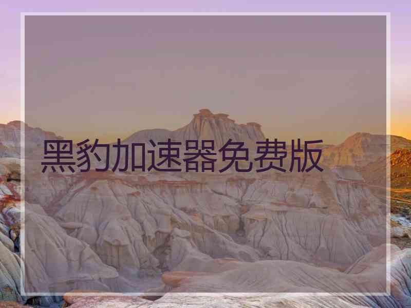 黑豹加速器免费版