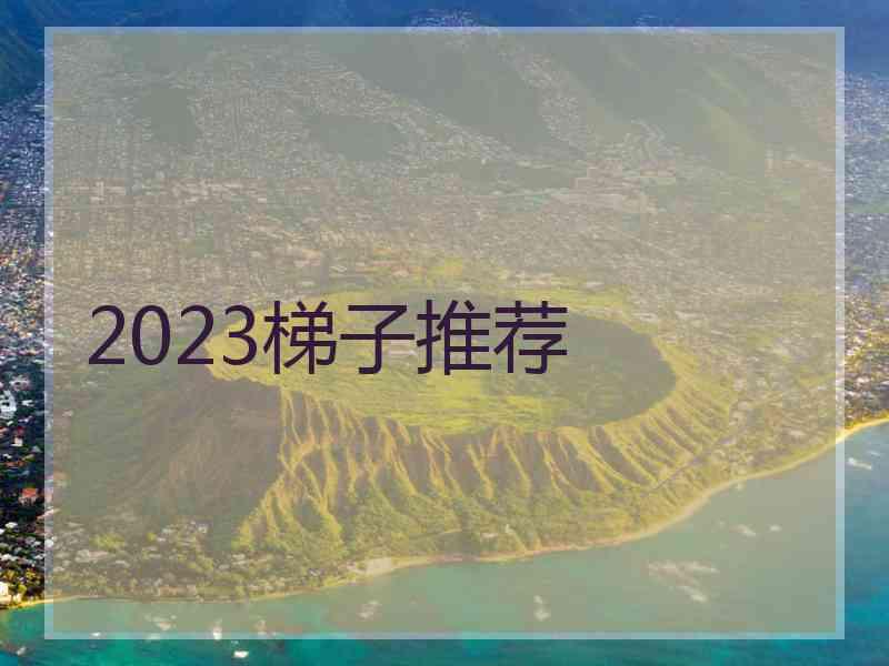 2023梯子推荐