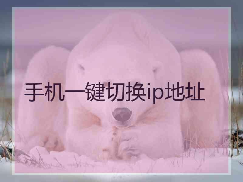 手机一键切换ip地址