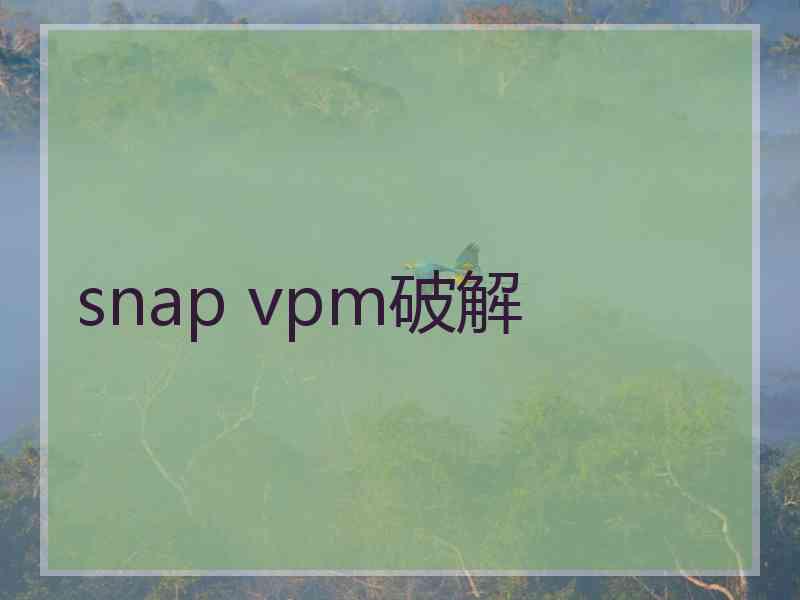 snap vpm破解