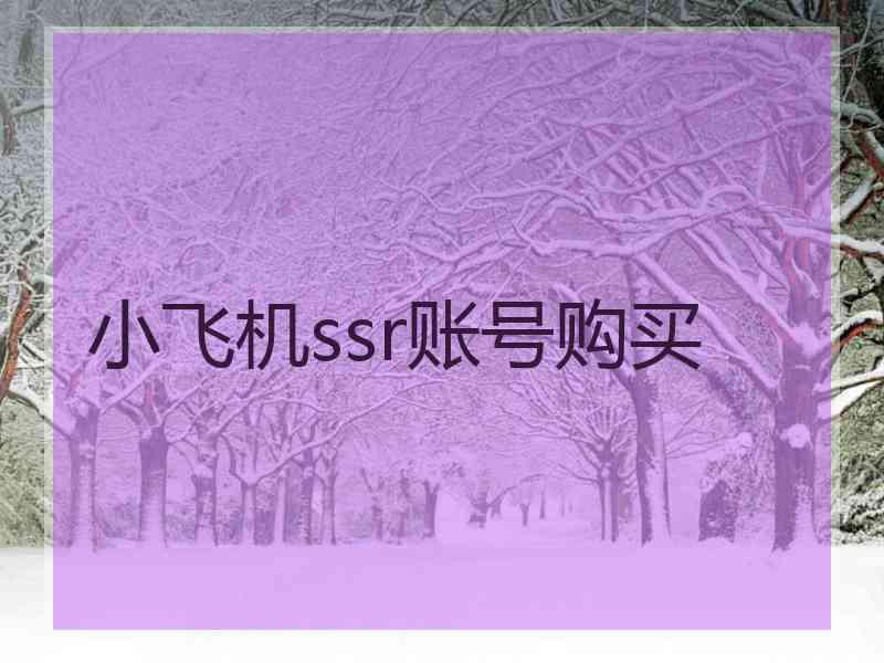 小飞机ssr账号购买