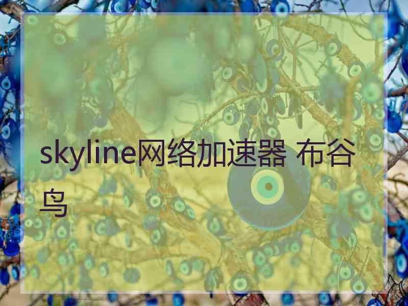 skyline网络加速器 布谷鸟