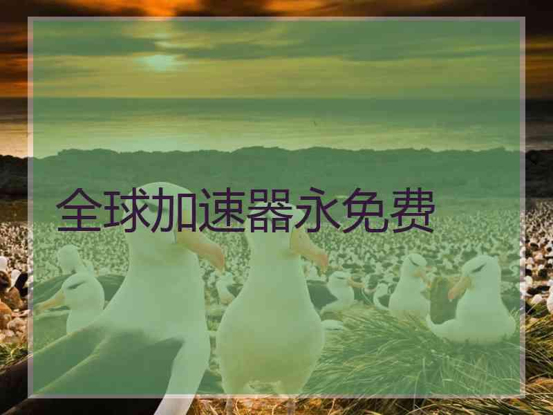 全球加速器永免费