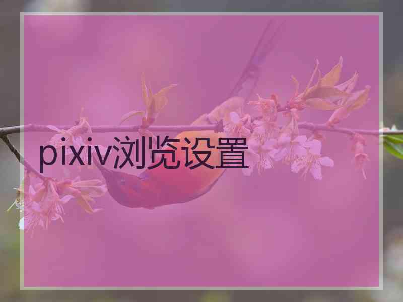 pixiv浏览设置
