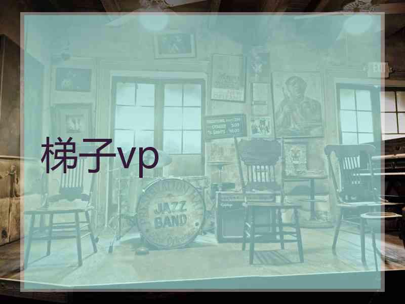 梯子vp