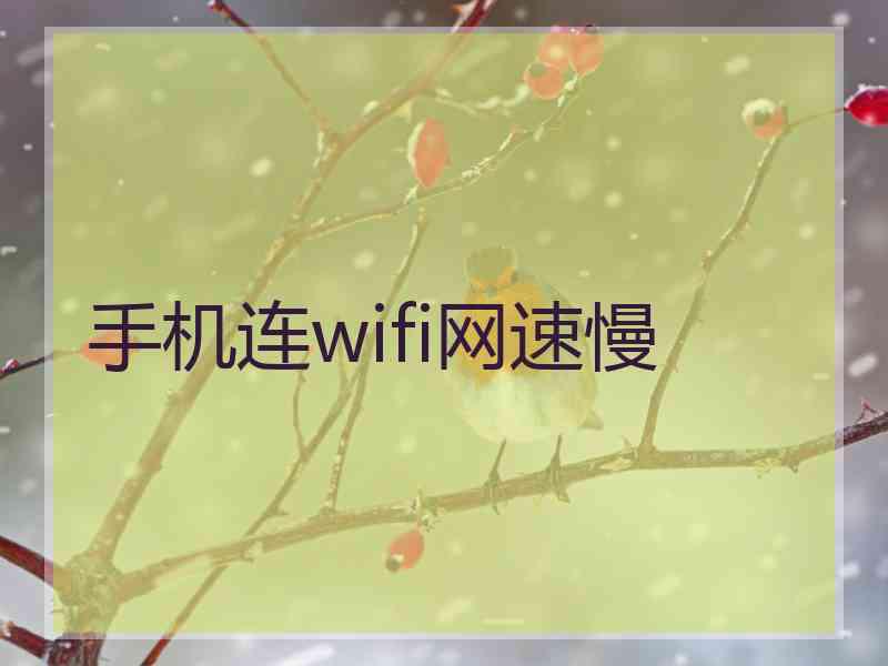 手机连wifi网速慢