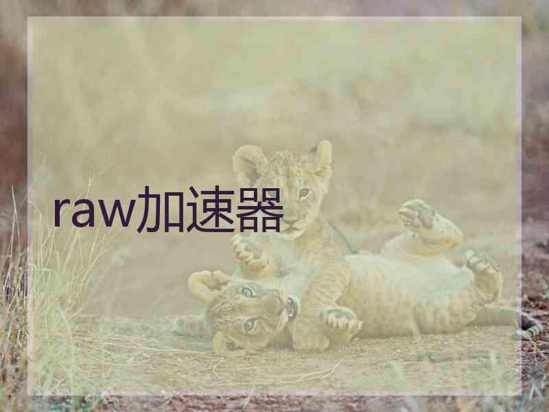 raw加速器