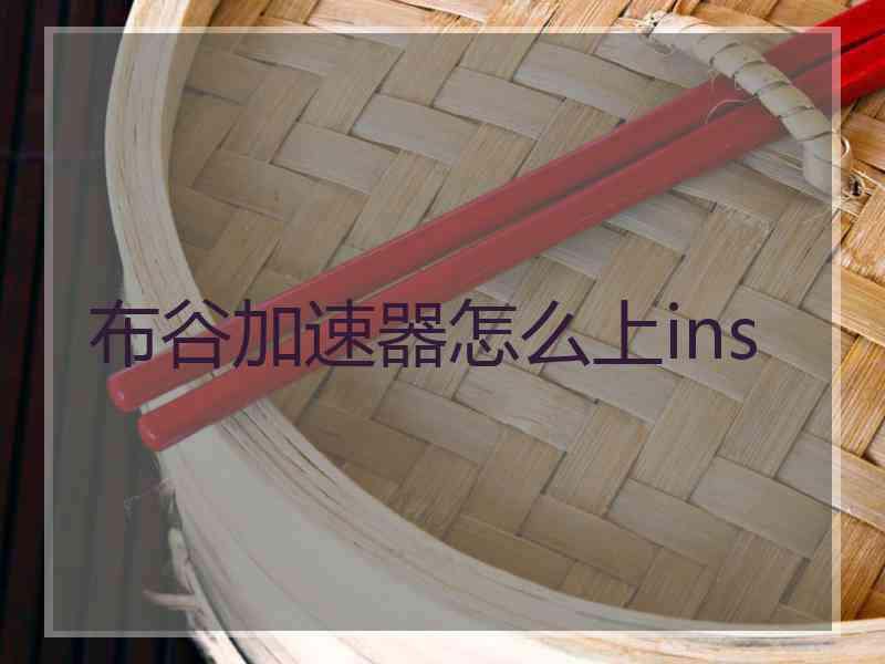 布谷加速器怎么上ins