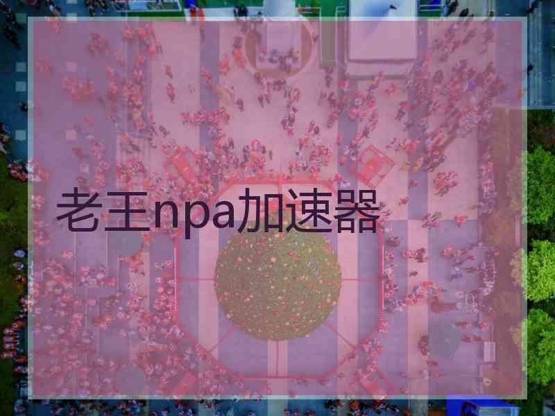老王npa加速器