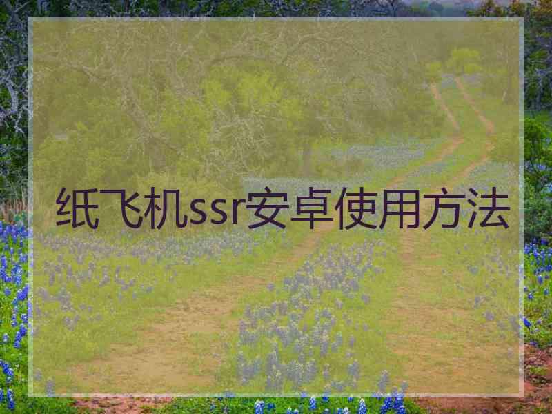 纸飞机ssr安卓使用方法