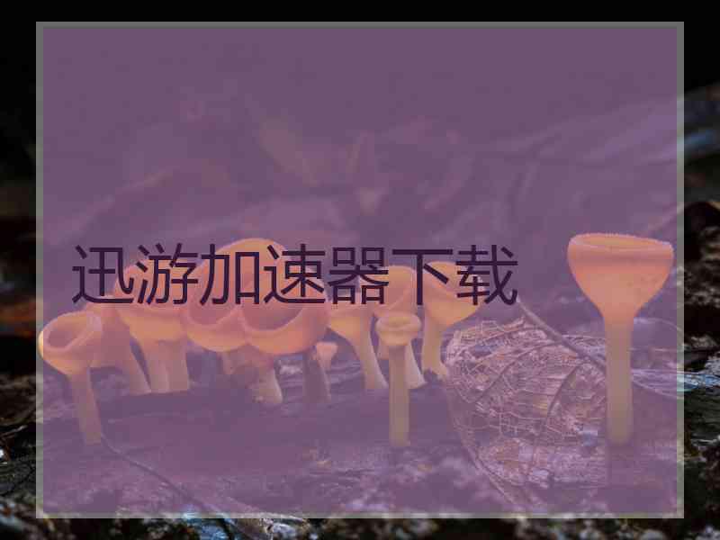 迅游加速器下载