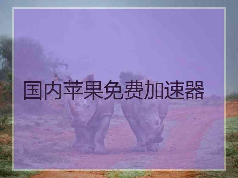 国内苹果免费加速器