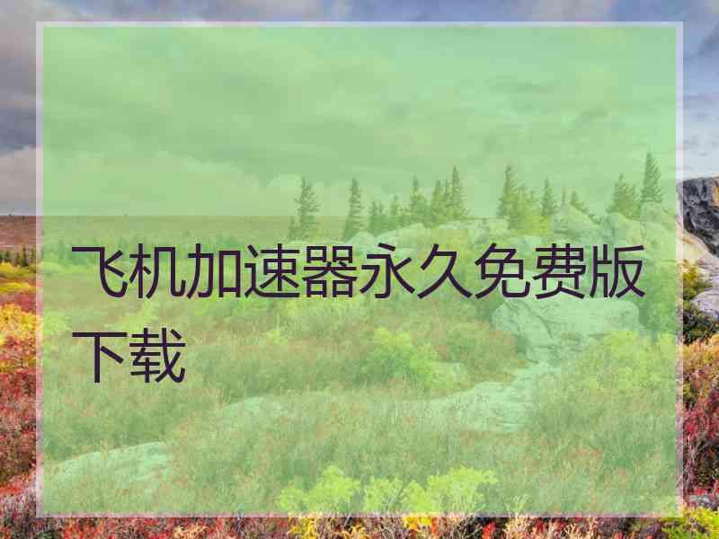 飞机加速器永久免费版下载