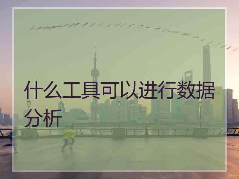 什么工具可以进行数据分析