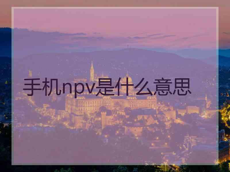 手机npv是什么意思