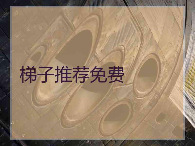 梯子推荐免费