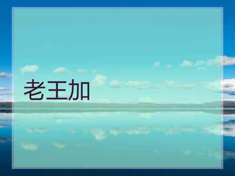 老王加