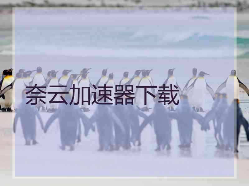 奈云加速器下载