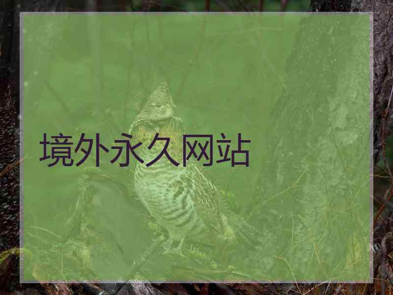 境外永久网站
