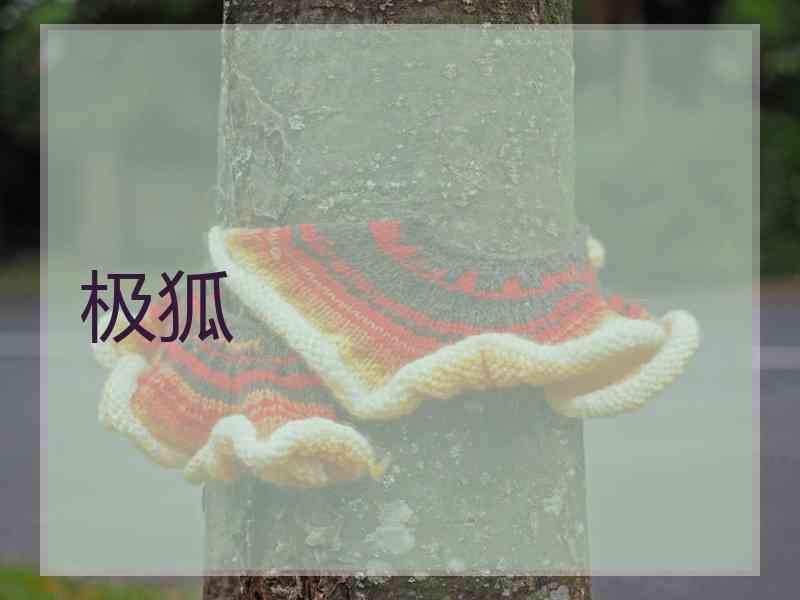 极狐