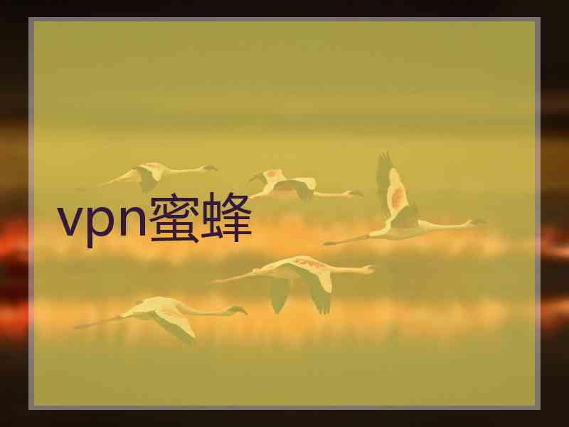 vpn蜜蜂