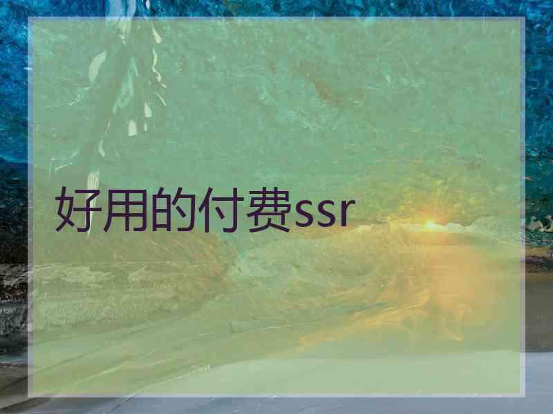 好用的付费ssr