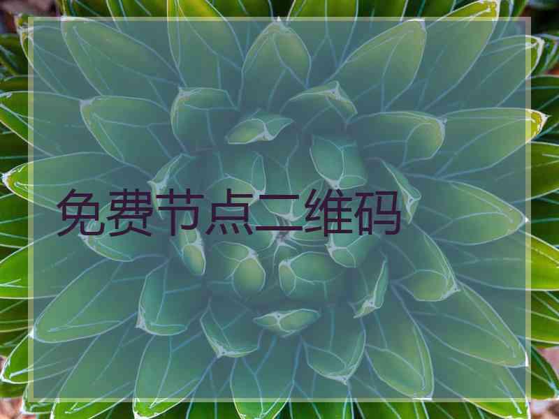 免费节点二维码