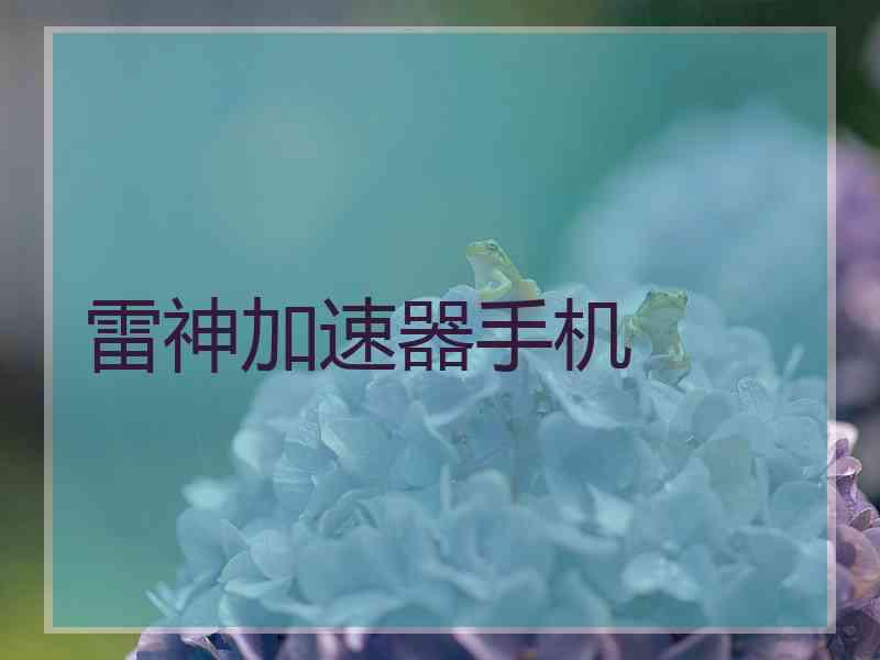 雷神加速器手机