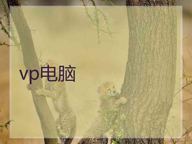 vp电脑