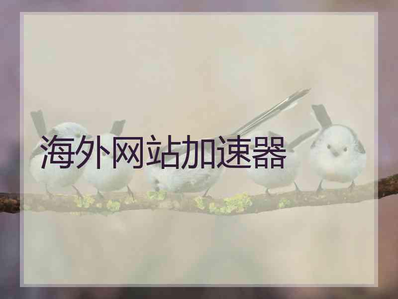 海外网站加速器