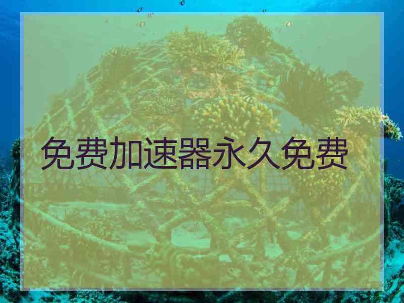 免费加速器永久免费