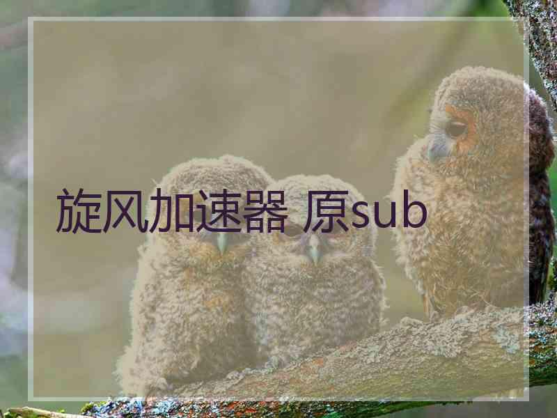 旋风加速器 原sub