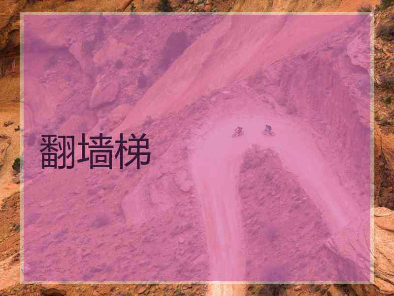 翻墙梯