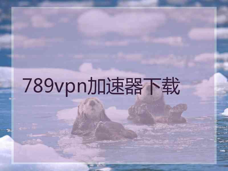 789vpn加速器下载
