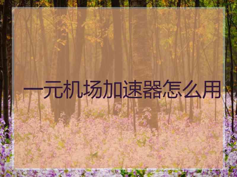 一元机场加速器怎么用