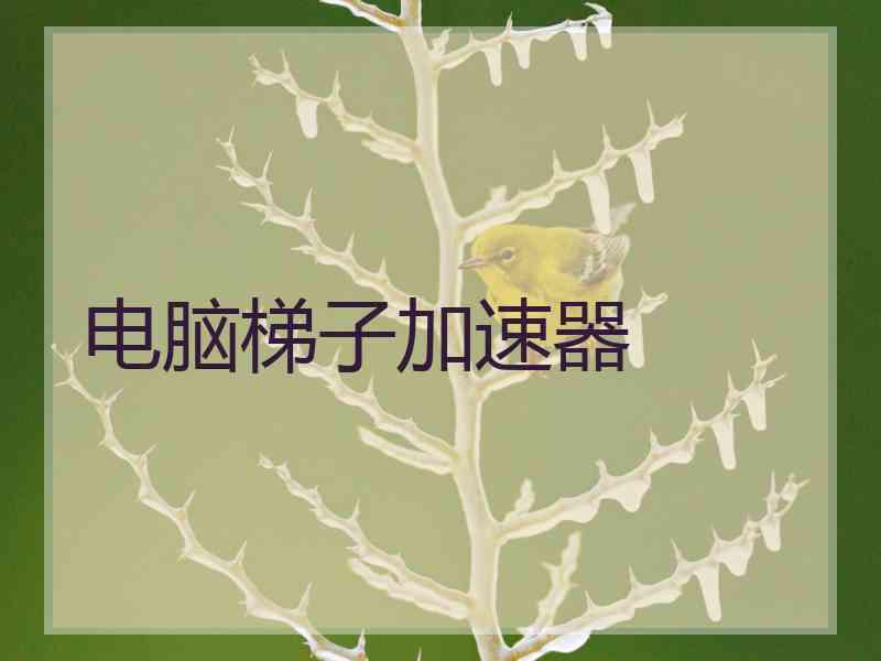 电脑梯子加速器