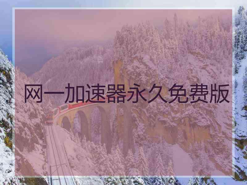 网一加速器永久免费版