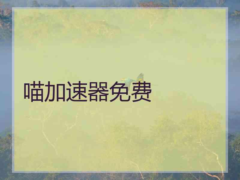 喵加速器免费